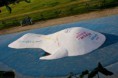 /album/peinture-sur-baleine/a2015-07-01-fauville-clis-peinture-baleine-7-b-jpg/